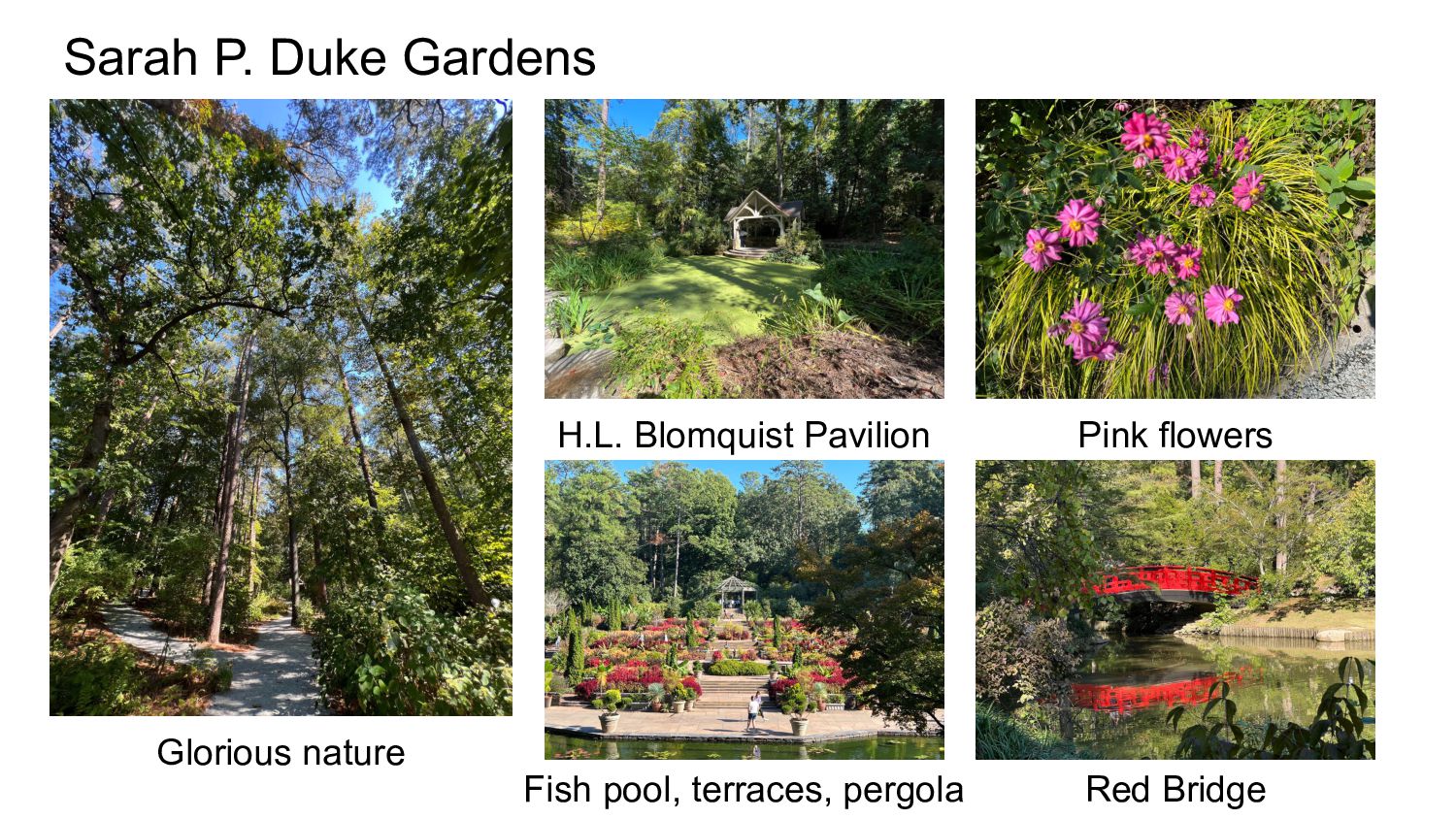 Slide 24
