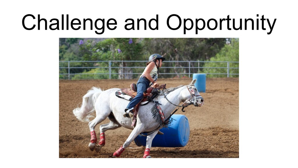 Slide 16